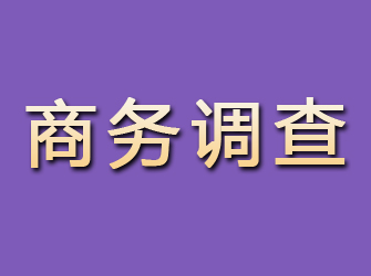 亚东商务调查